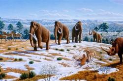 6500万年前 哺乳动物凭什么突然崛起统治地球：两大优势
