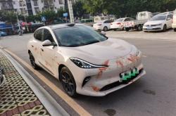 男子喜提智己LS6被丈母娘请人用鸡血开光：形似惨烈事故现场