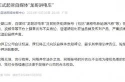 比亚迪：正式起诉自媒体“龙哥讲电车”
