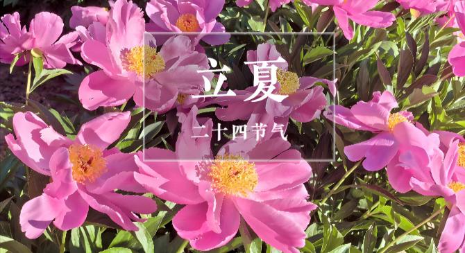 “千补万补，不如立夏一补”，5月5日立夏，别忘了尝三鲜、吃四红