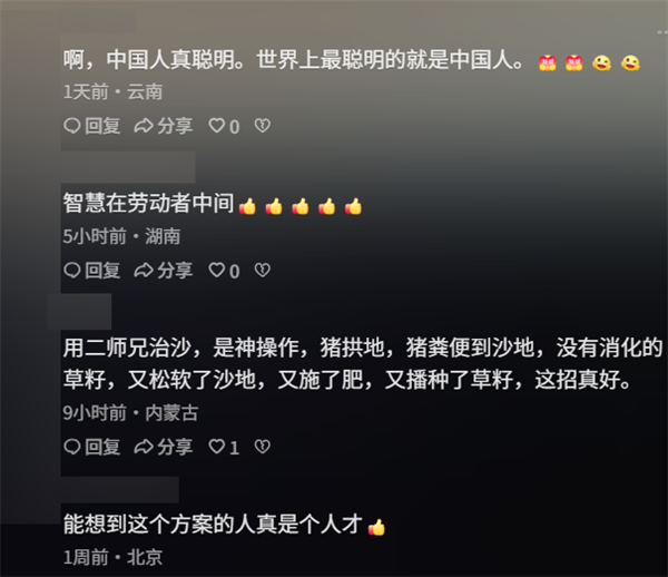 中国人靠着10万头黑猪 把沙壁整顿成了粮仓?