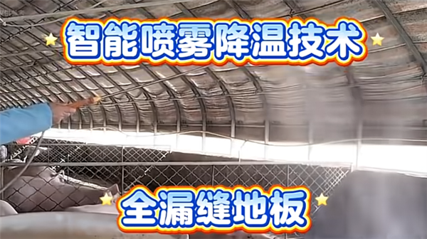 中国人靠着10万头黑猪 把沙壁整顿成了粮仓?