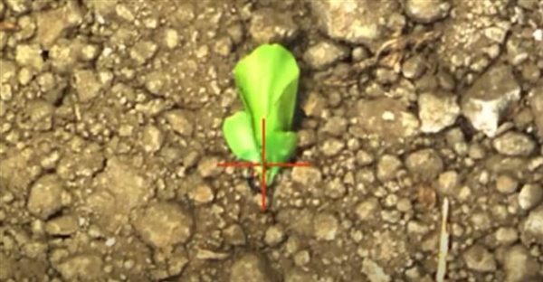 NVIDIA AI解决农业古老问题：搭配激光秒杀上万棵杂草无压力！