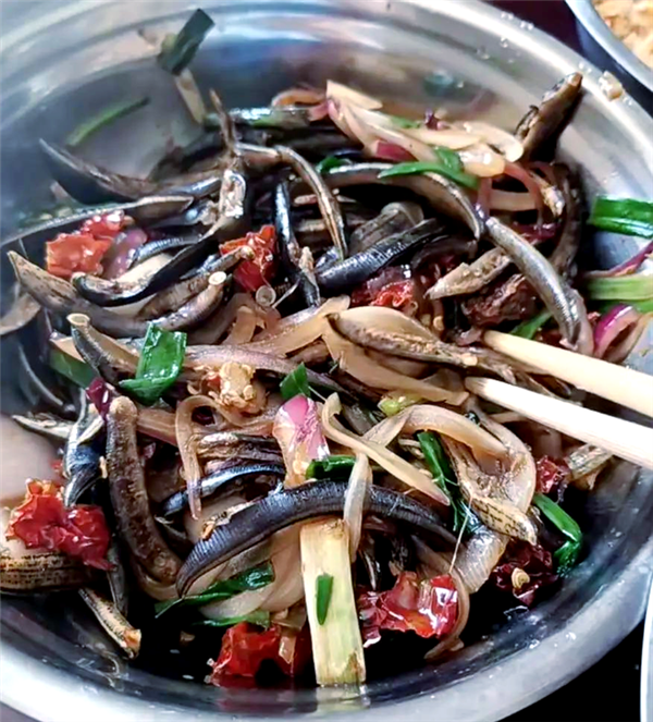 如果鸡吃了水蛭：它会寄生肠胃 长期吸血吗？