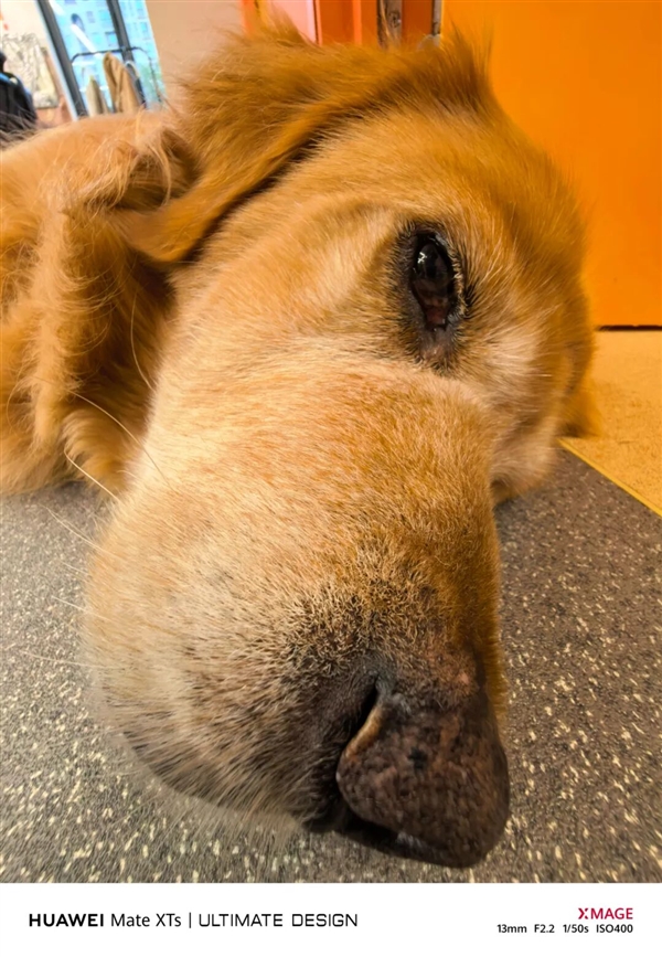 别人挤牙膏可能被骂 但三折叠情有可原