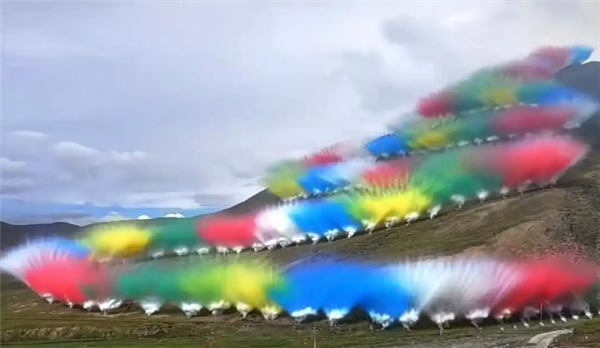 专家称烟花秀可能影响鼠兔：破坏整个食物链