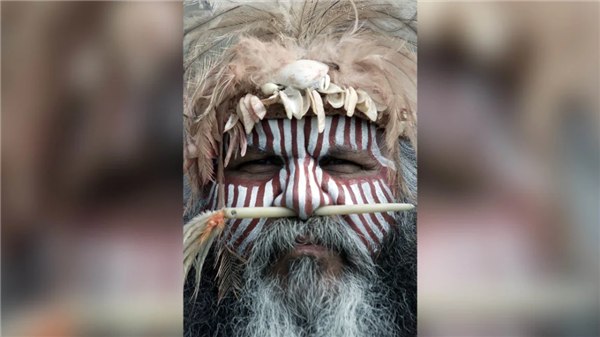 给牛涂上斑马条纹 研究能不能骗过蚊虫！日本科学家获搞笑诺贝尔奖