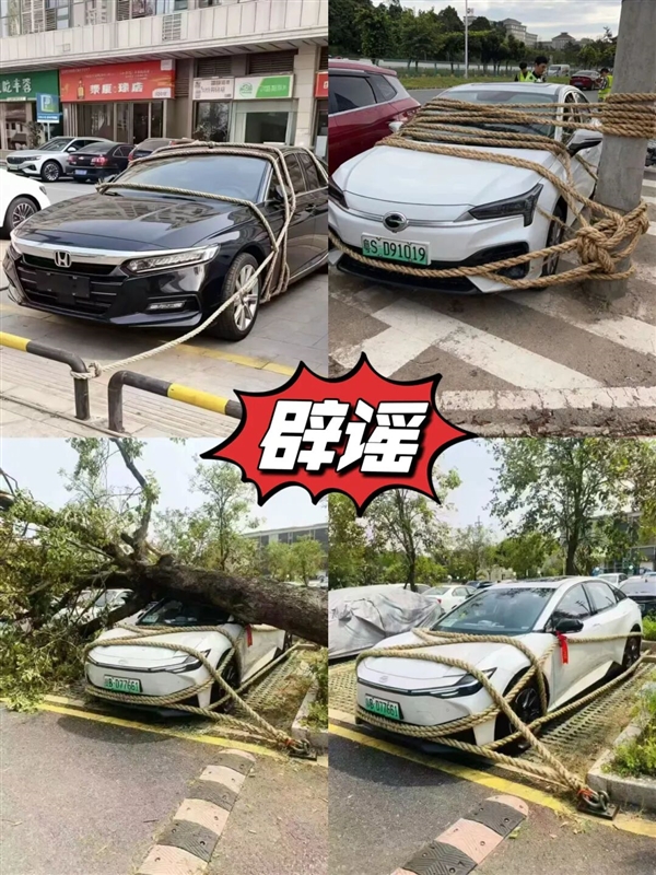 台风“桦加沙”来袭！官方辟谣：广东汽车被五花大绑是AI合成