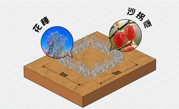 中国治沙47年 竟然不是为了消灭沙漠