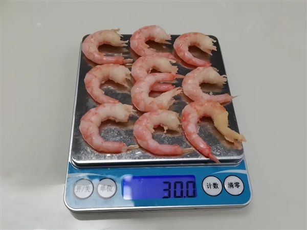 为何我们常吃北极甜虾 少见南极磷虾