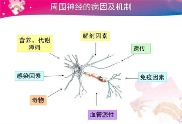 没伤口却疼得像针扎 揭秘皮肤突发刺痛的常见诱因