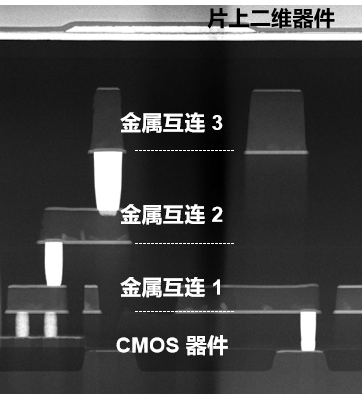 碾压传统闪存！我国研发全球首个二维-硅基混合架构闪存芯片