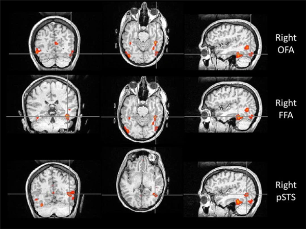 一个人能记住多少个人的脸 这个数字赌你猜不到
