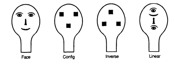 一个人能记住多少个人的脸 这个数字赌你猜不到
