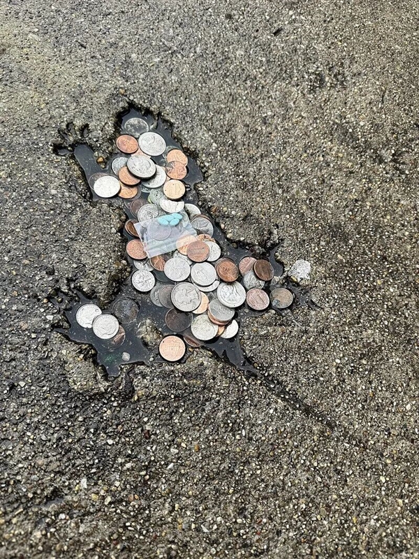 美国老鼠坑路火了！坑居然是松鼠砸的