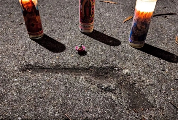 水泥地惊现“老鼠坑” 美国这条路火了！新研究带来反转：坑是松鼠砸的