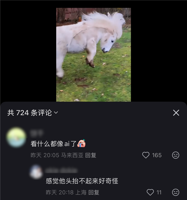 刷到一个又一个假视频后 我不敢相信互联网了