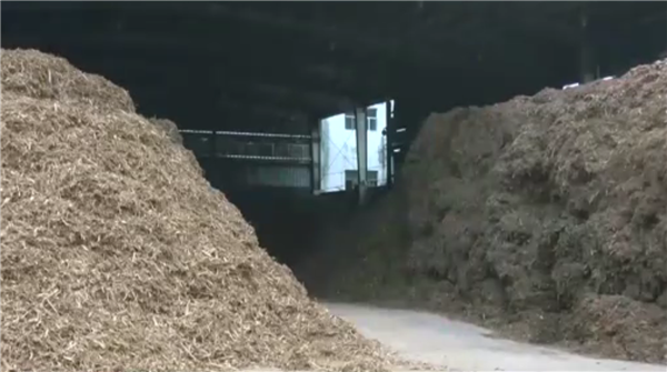 纯度高达99.9%！中国首个量产生物甲醇项目投产