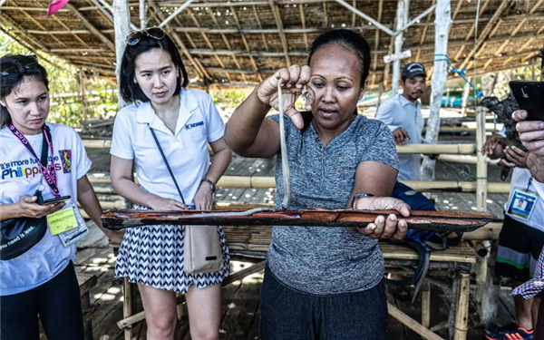 船蛆:地球上最独特的动物群体之一