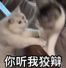 算力越高收入越多!OpenAI率先验证AI商业Scaling Law