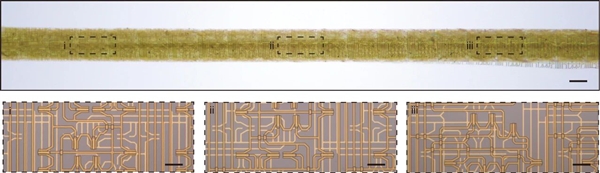 复旦团队重大突破 世界首款纤维芯片问世:大规模集成电路 卡车碾压也不怕
