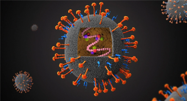 死亡率最高75% 印度暴发尼帕病毒疫情！会像新冠那样蔓延吗