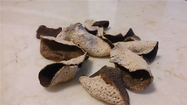 陈皮不就是晒干的橘子皮吗 为啥卖那么贵！