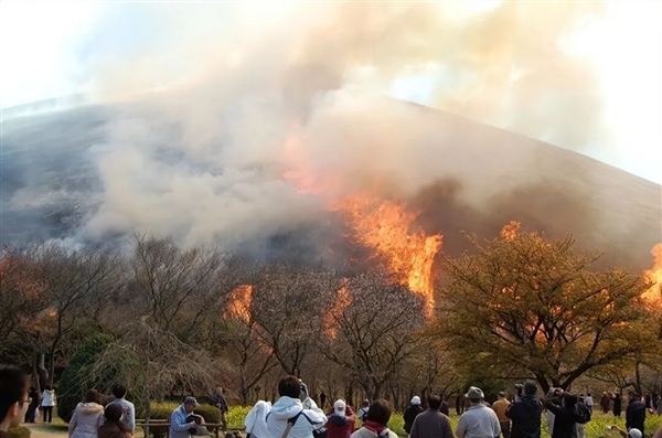 日本这座山不允许长树 每年都要烧一次！游客可付费体验