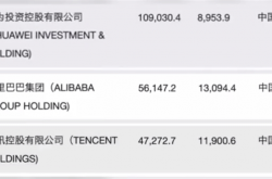 华为收入超阿里腾讯总和 任正非：华为最大问题是赚钱太多
