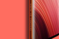 首款双曲面柔性屏+855 Plus机型 努比亚Z20即将登场