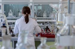 科学家找到小鼠大脑记忆闪回键：人类未来也能消除负面记忆