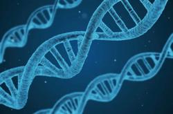艾滋抗体新方法！合成DNA：克服耐药性