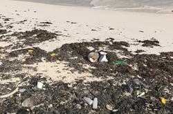 新研究发现海洋污染比预想的严重