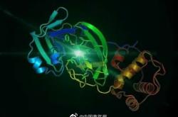 科学家公布新型冠状病毒3CL水解酶高分辨率晶体结构