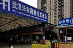 蛇？蝙蝠？水貂？新型冠状病毒来自哪种动物？