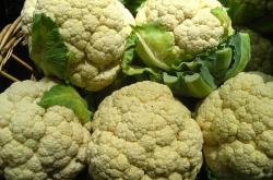 防治新冠肺炎怎么吃得有营养？这份膳食指导供参考