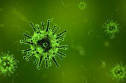 美科学家称找到所有病毒的致命“弱点” 或有助于研发超级疫苗