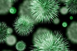 6个超级寄生虫让人感染病例：一个比一个恐怖