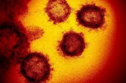 世卫：全球新冠肺炎病例接近10万例 无证据显示病毒会在夏季消失