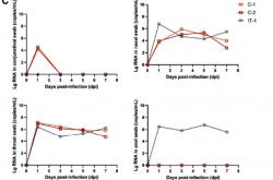 研究：新冠病毒可通过眼结膜感染 1天后转至呼吸道等
