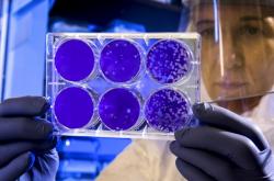 科学家正寻找基因与新冠病毒抵抗力和易感性的关联