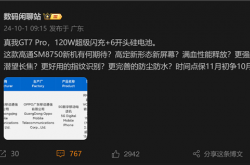 真我GT7 Pro电池曝光：GT系列续航怪兽降临