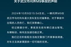 问界M9对撞货车致伤亡 赛力斯汽车：事发前车辆已退出智驾