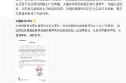 大量水军有组织造谣抹黑！刘强东、章泽天已报案