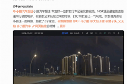 电驴夜间逆行上高架 小鹏NGP智驾救他一命