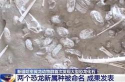 新疆哈密首次发现大型恐龙化石：体长超20米 命名为中国丝路巨龙