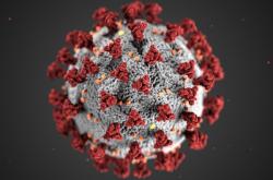 很有效！我国科学家成功研发新冠病毒新抗体：登上Nature