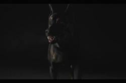 《生化危机》真人剧集首曝片段 变异犬狰狞狂哮