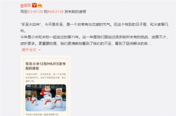 MIUI 13来了！小米12首发 首批升级机型曝光