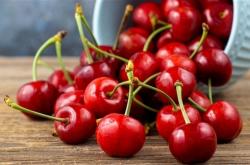 为什么车厘子一个月到中国却不腐烂：让它冬眠了 无需防腐剂